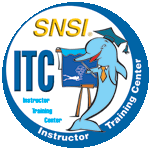 Logo SNSi Itc